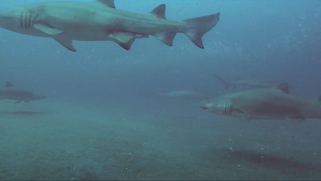 772a6378-09ff-4fe7-afa9-4e4b89054d74