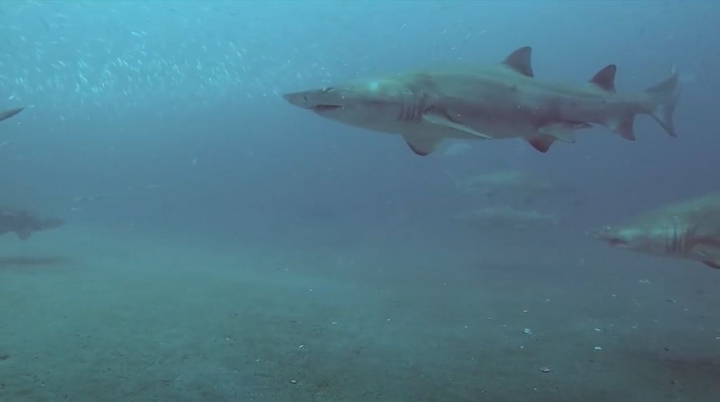 772a6378-09ff-4fe7-afa9-4e4b89054d74