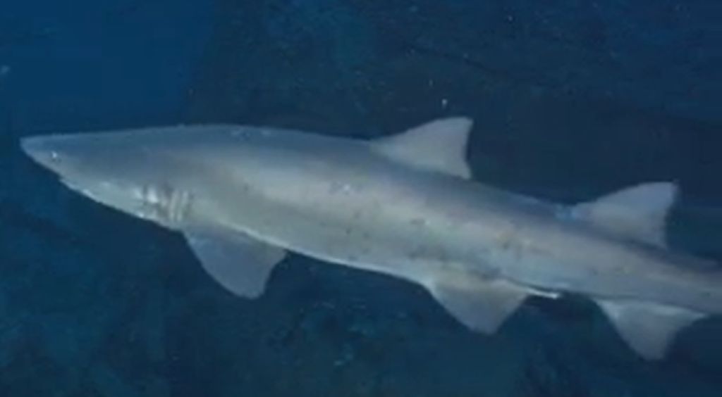 9e000519-e450-43bc-b370-bdd2a6341abb