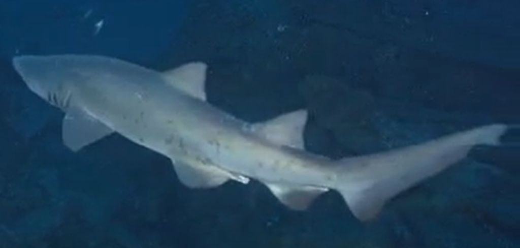 9e000519-e450-43bc-b370-bdd2a6341abb