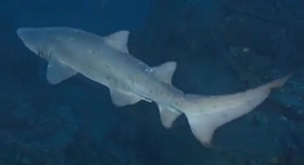 9e000519-e450-43bc-b370-bdd2a6341abb