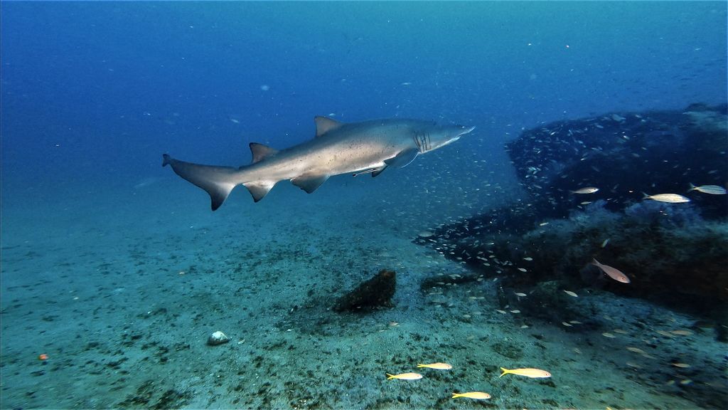 7feb0c3a-c77b-47a8-ac3e-dcc7449b42f6