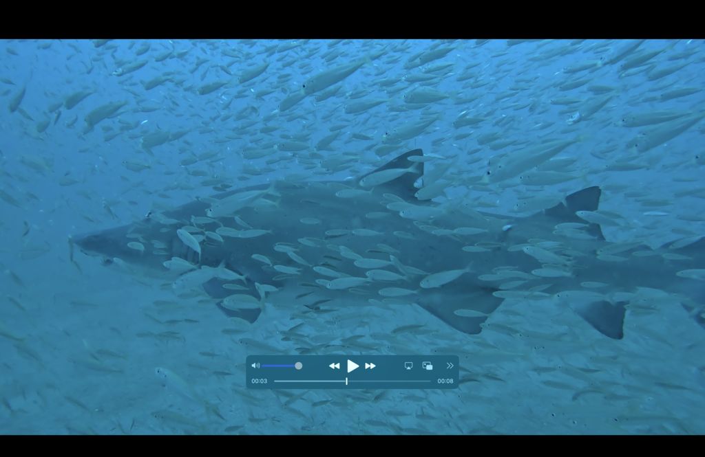 81eaf950-baf4-463a-86d6-460522b802d0