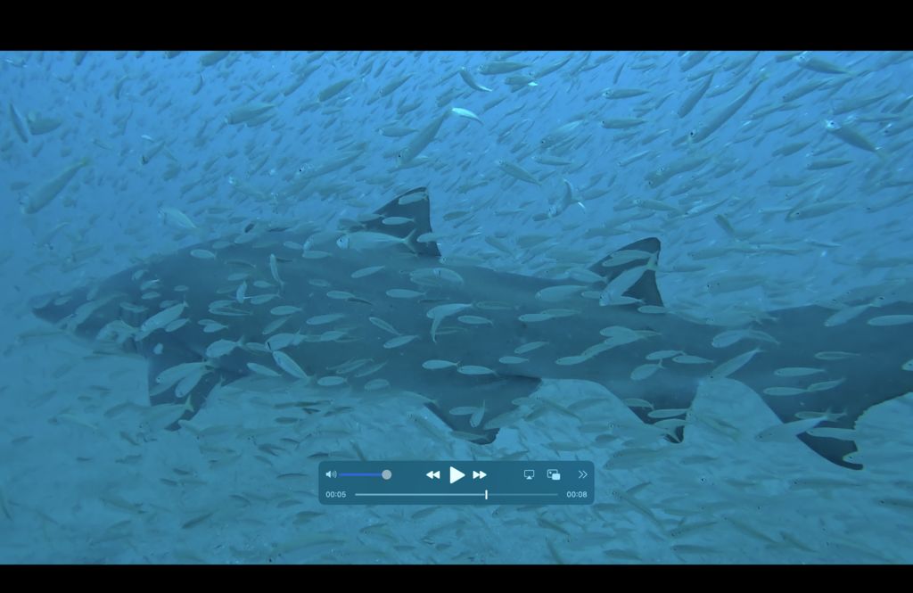 81eaf950-baf4-463a-86d6-460522b802d0