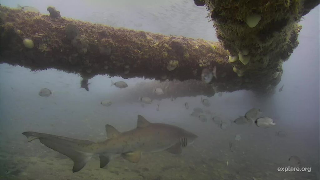 dcc14416-5d80-4309-a674-16b2a756c679