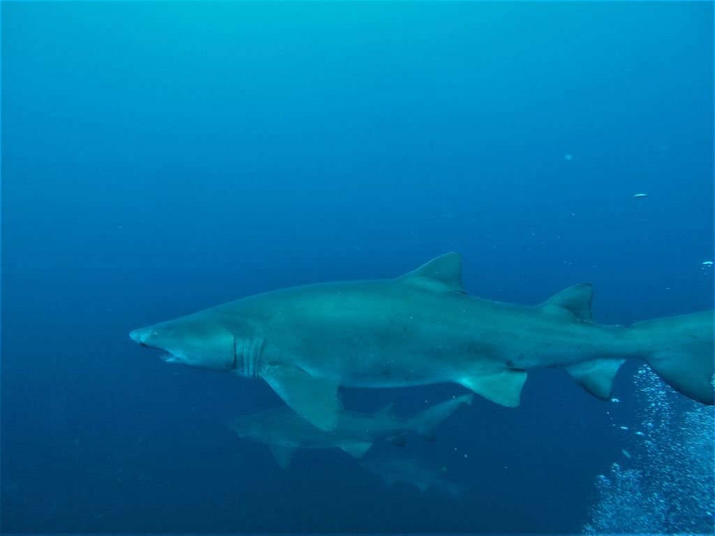 a61b92d2-2349-4d78-8d39-1e8fb416f5d9