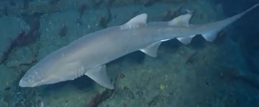 13028dba-5ac6-4316-8964-87cc18f5a1a8