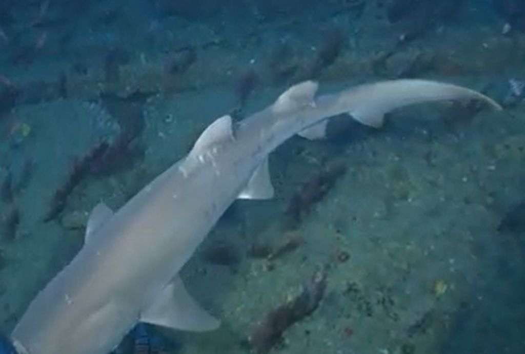 13028dba-5ac6-4316-8964-87cc18f5a1a8