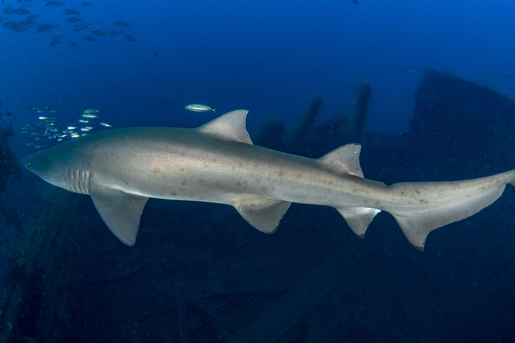 640d2a7c-773f-4f94-b1ce-b7d98d715167