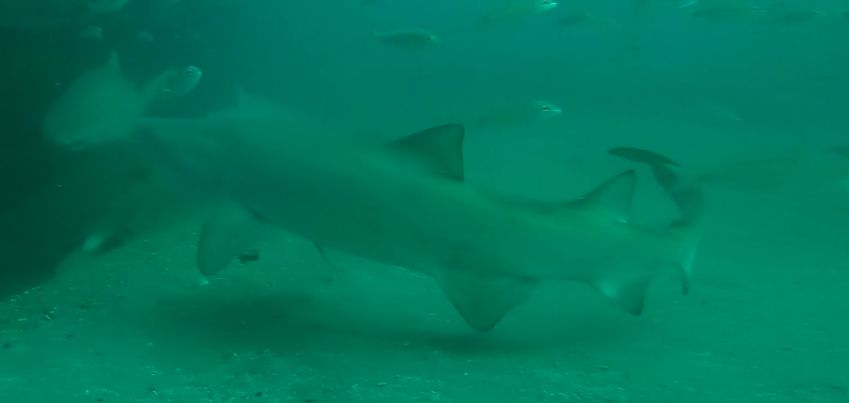 36898aa6-bba8-4670-ba10-26e4b00cd4bd