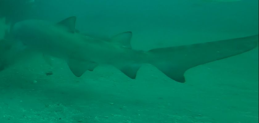 36898aa6-bba8-4670-ba10-26e4b00cd4bd