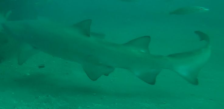 36898aa6-bba8-4670-ba10-26e4b00cd4bd