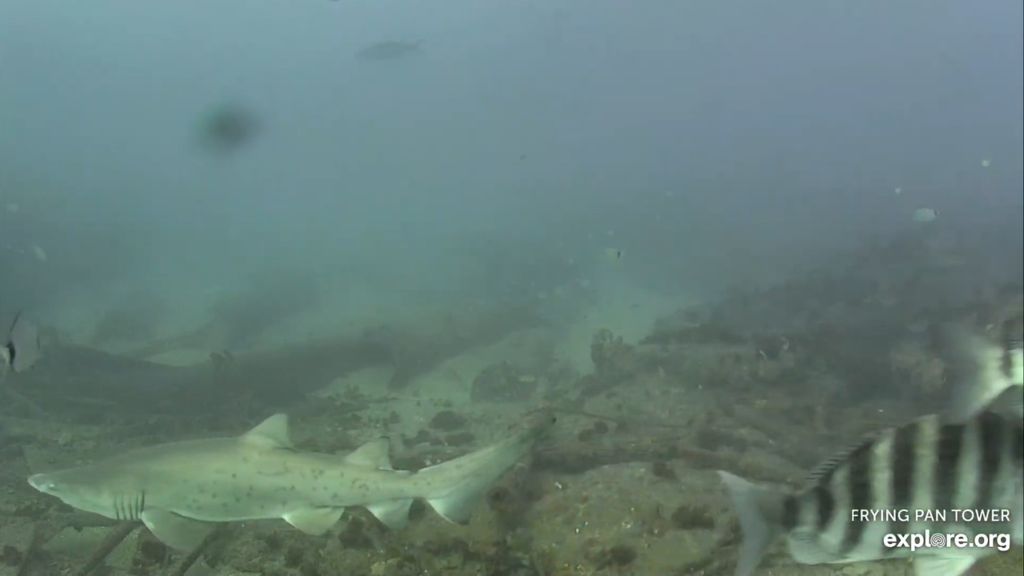 66c2c7d4-febc-4e83-87ae-da204c3aa0b9