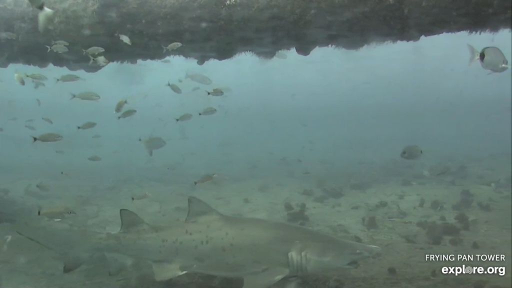 66c2c7d4-febc-4e83-87ae-da204c3aa0b9