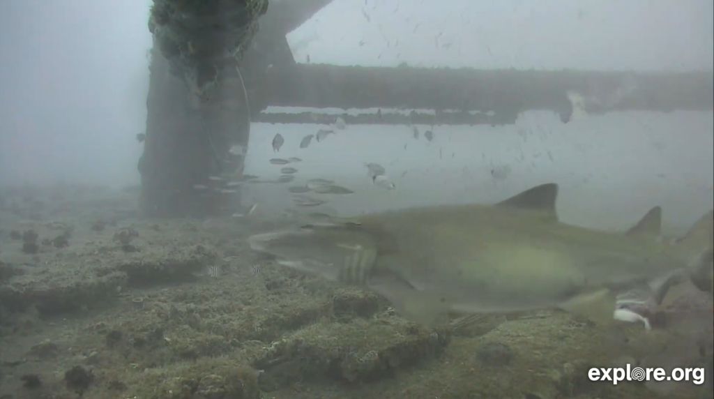 4105e306-b31f-4772-ad10-ba949726f565