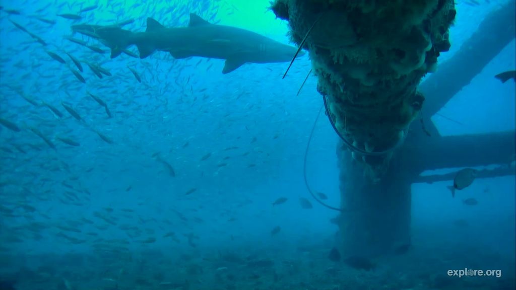 0ea5fda1-cd1b-4c07-870a-2cff30dd893b