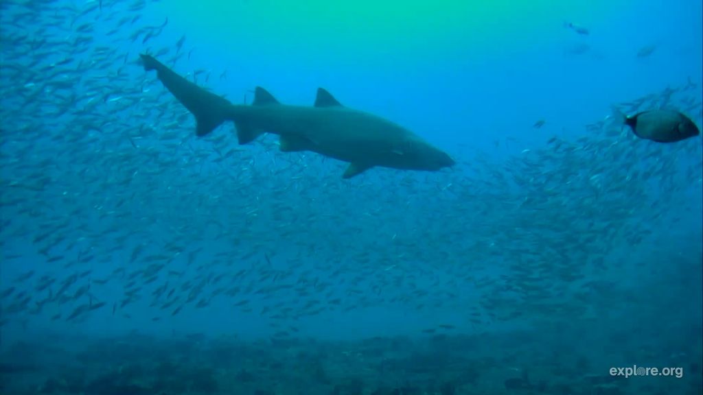 0ea5fda1-cd1b-4c07-870a-2cff30dd893b