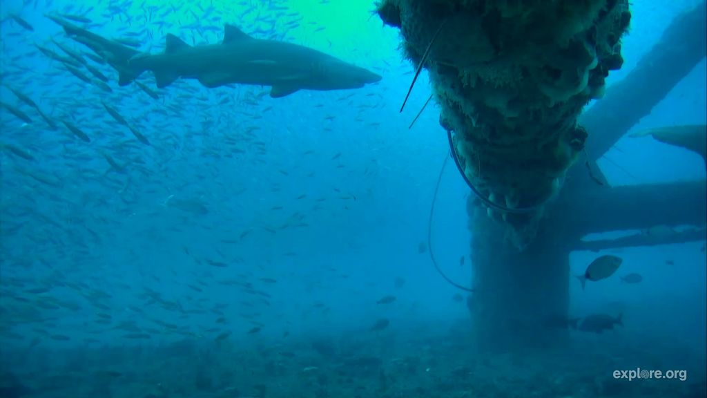 0ea5fda1-cd1b-4c07-870a-2cff30dd893b