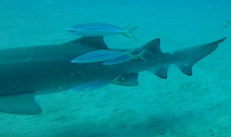 22466b2d-7b9f-4525-937b-dde3d6d218e2