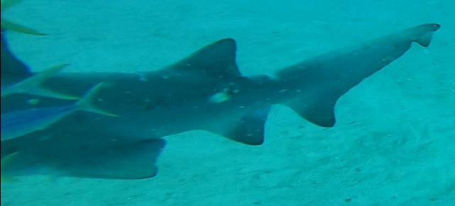 22466b2d-7b9f-4525-937b-dde3d6d218e2