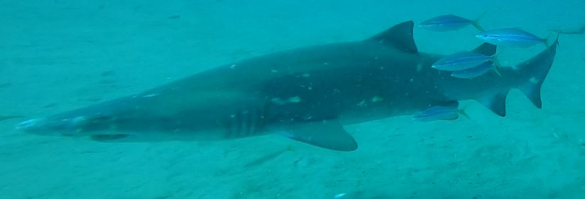 22466b2d-7b9f-4525-937b-dde3d6d218e2