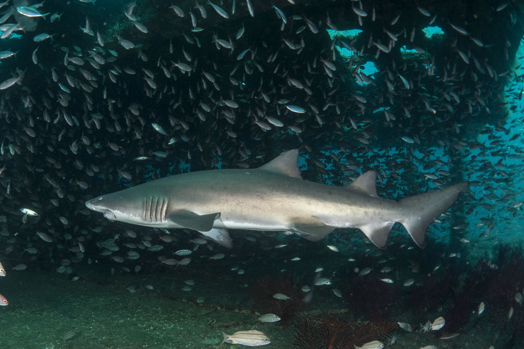 dfddf424-3794-4769-8a2c-733818cad668