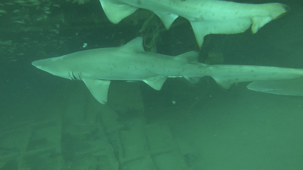 42dbb723-806e-4cca-aa4f-1cd7bf25a6e2