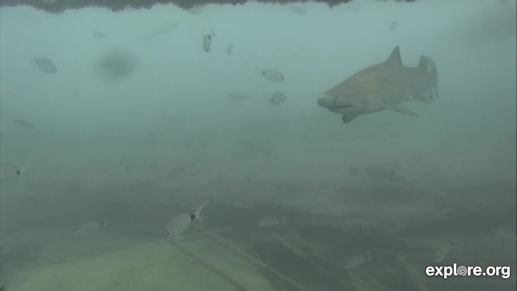 f1961e48-15b6-443f-8f82-d36e186f078b