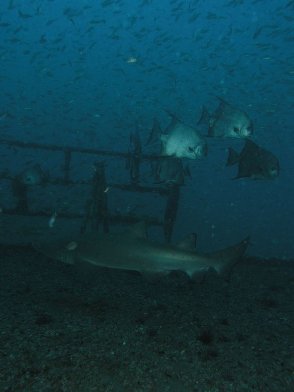 f385efee-0c21-41da-a640-6457f12f189a