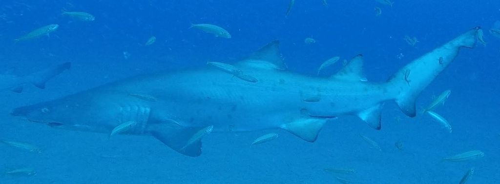 a092b1ee-c65d-4a0d-9eac-828113a121ae