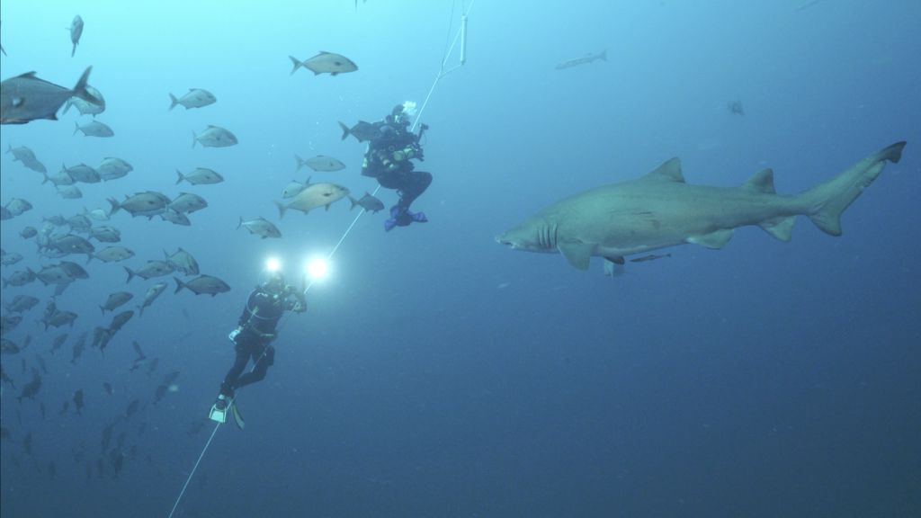 dca3166b-5c08-4423-9fc9-7d17d2683c63