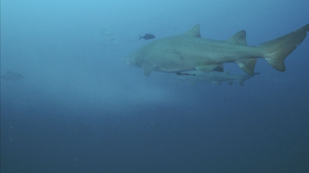 dca3166b-5c08-4423-9fc9-7d17d2683c63