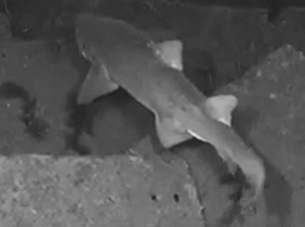 243d7bce-3890-473c-8616-68354864ed7c