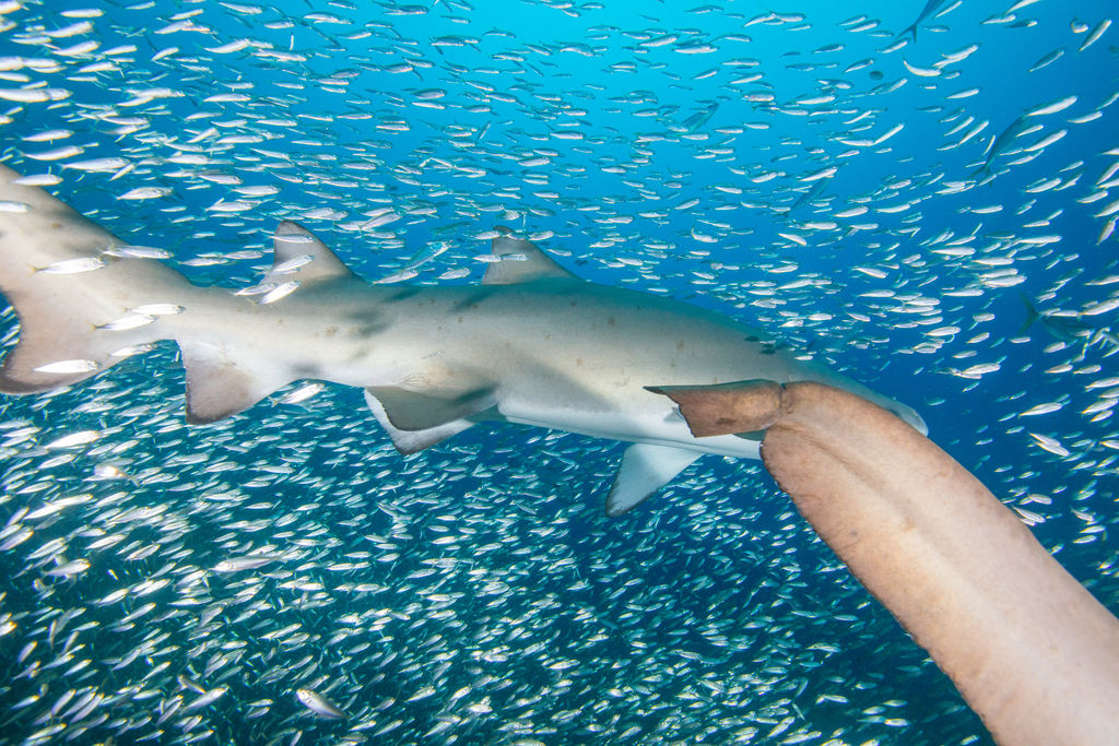 5cba788a-6bbe-49dd-bb98-b16cacbb3d2a