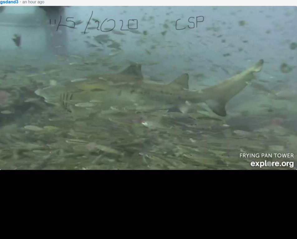 8e4162e2-0202-4af8-80bb-5bfb128f0368