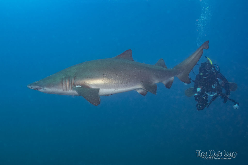 8b277db5-9bbb-4683-9320-61507f7e80e2