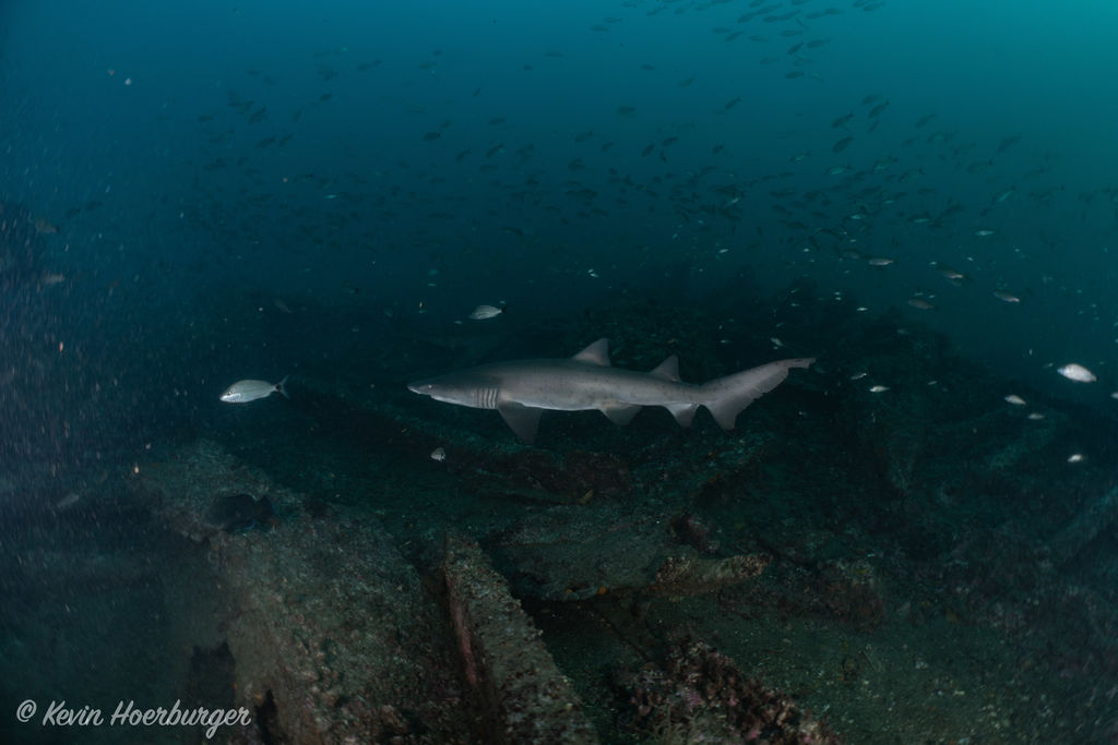 6eab09fe-b1f3-4b61-a544-73ca7ae25126