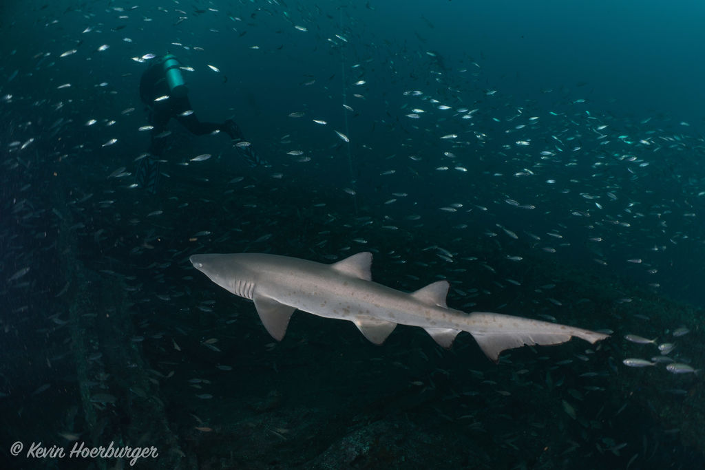 6eab09fe-b1f3-4b61-a544-73ca7ae25126