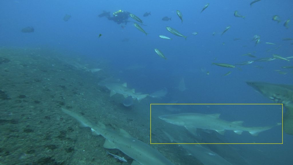 94038dd3-2086-4384-9d93-1ebab07904bf