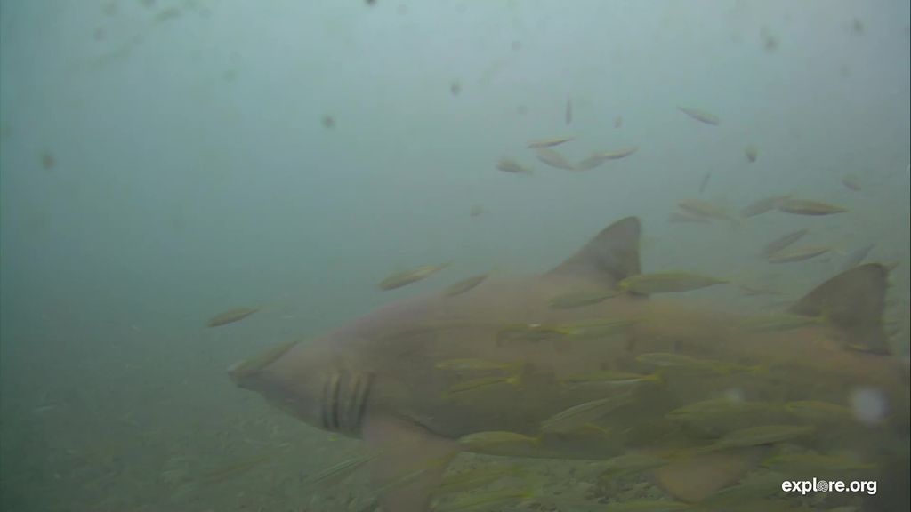 c178a0f2-498c-49fb-b120-c0cda3ee74af