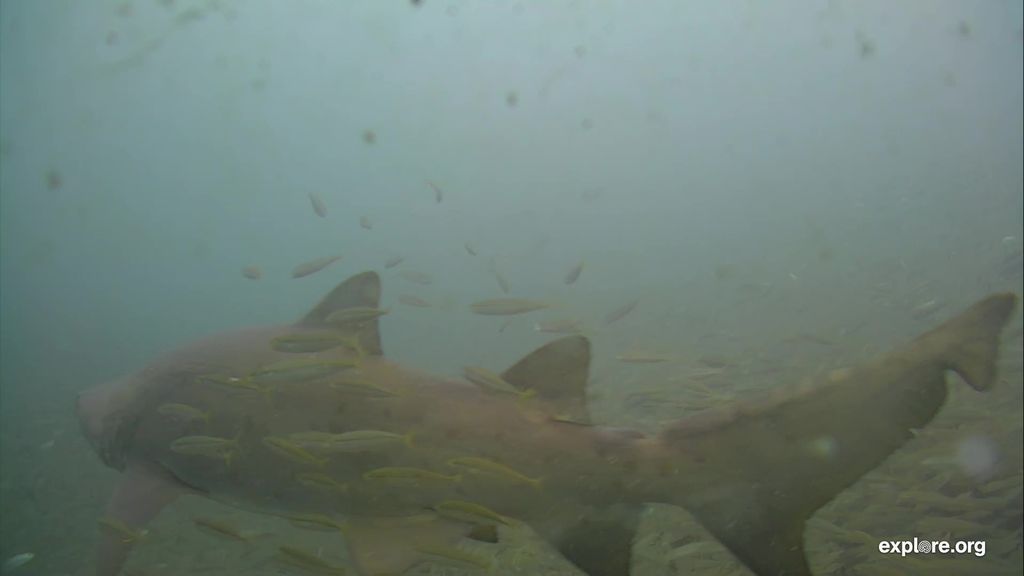 c178a0f2-498c-49fb-b120-c0cda3ee74af