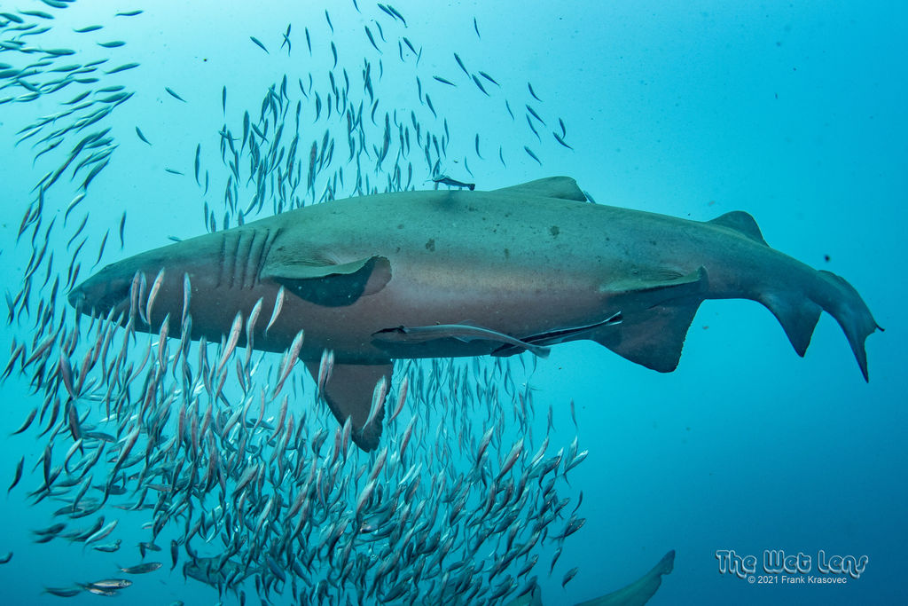 ad9a5474-4634-4100-a782-b080fda22994