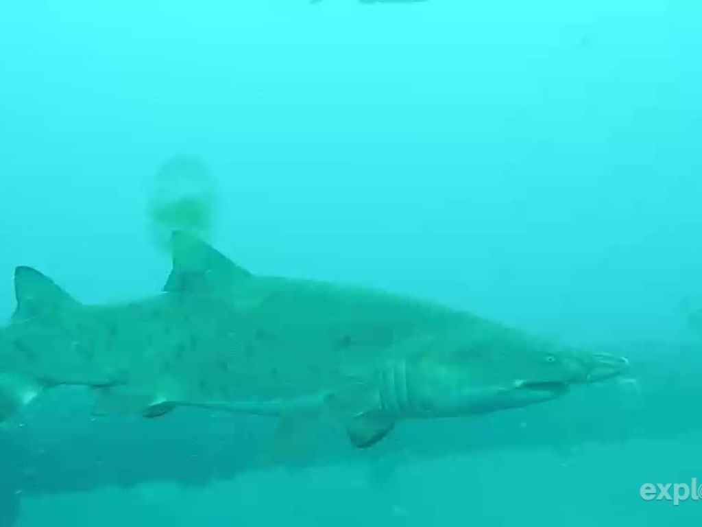 2d588eb7-b4d1-4bb7-bde3-7b317a3ceb96