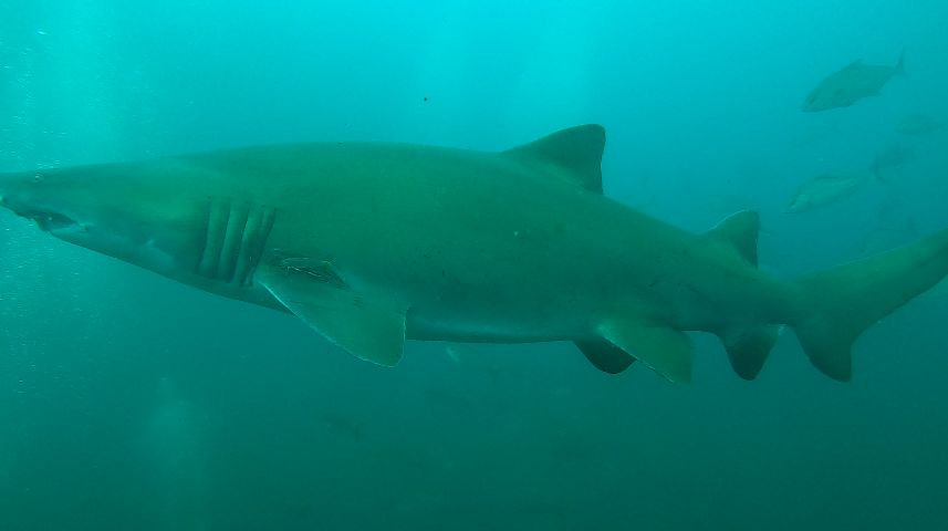 3578d4ea-b619-440d-8397-5fc117550e3f