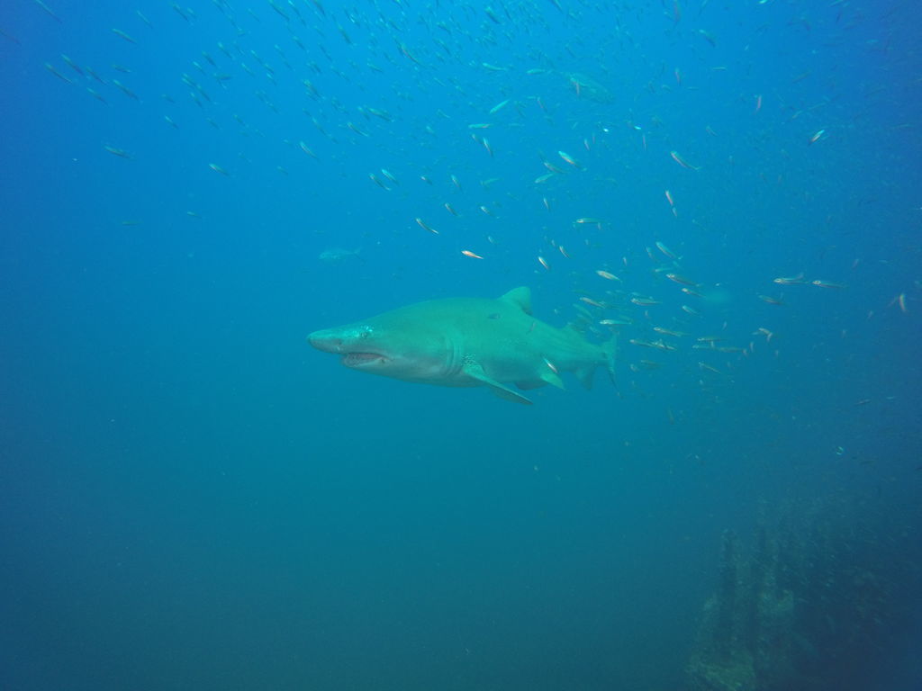 1a5257f8-dcb4-4bb0-b624-1a53949931d6