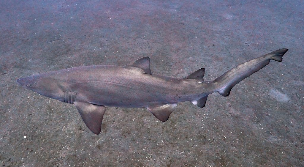 8af4582d-106b-40a4-8a23-2d016c65eb8a