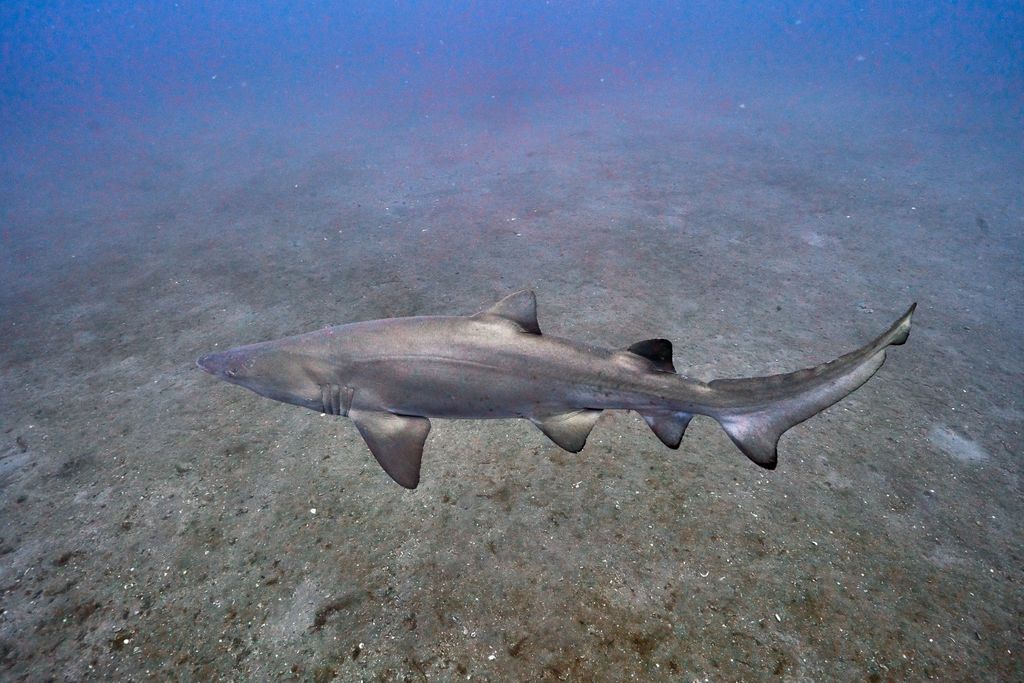 8af4582d-106b-40a4-8a23-2d016c65eb8a