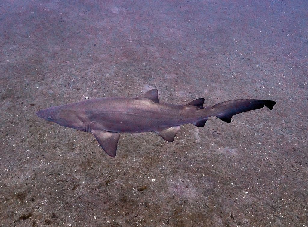 8af4582d-106b-40a4-8a23-2d016c65eb8a