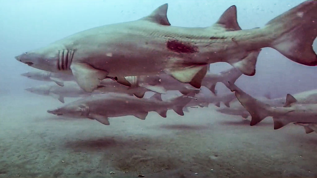 4e6a8fd8-6f7f-4b99-9028-00b495f57732