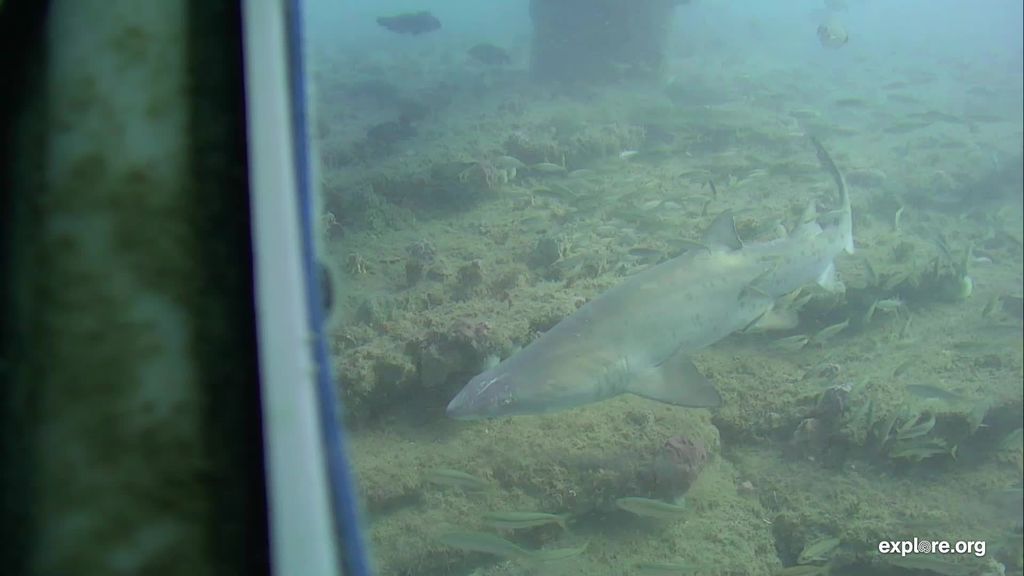 dd777ca9-1897-4703-afb4-9ea458bc08f8